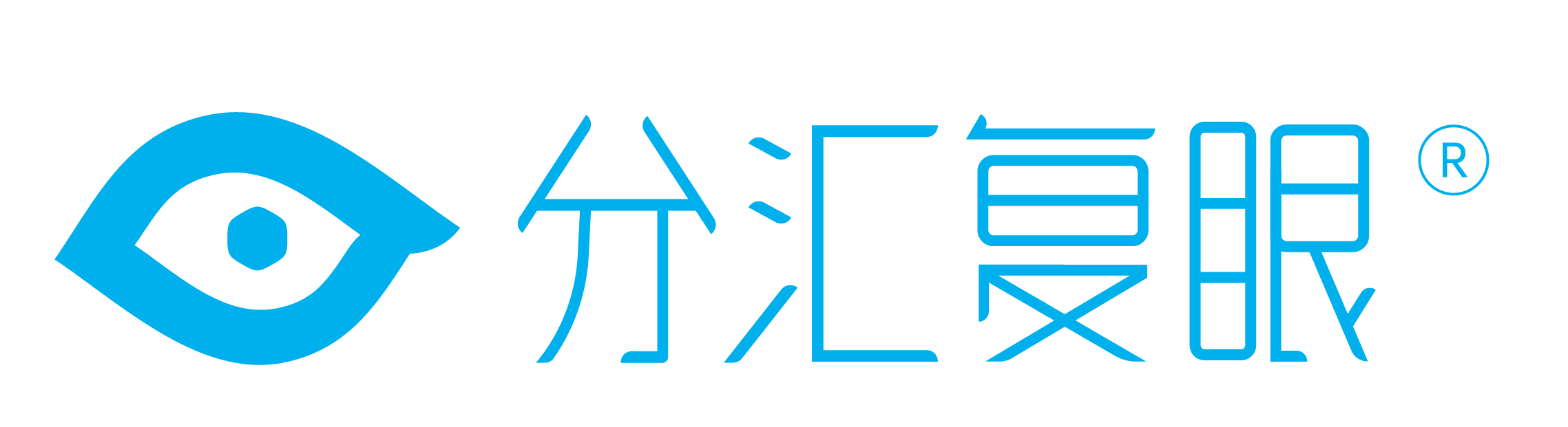 分汇复眼
